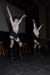 Rocky 2_24_06090